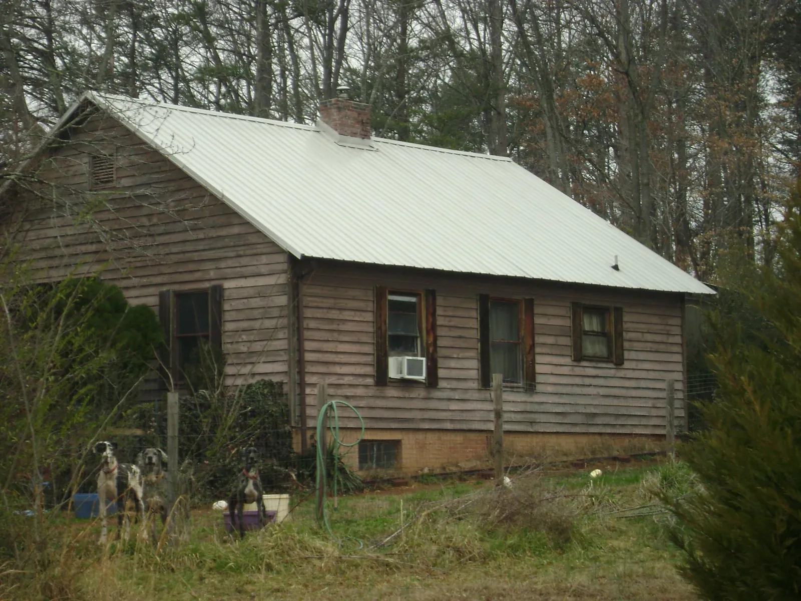 White metal roof on an old wood sided farmhouse, from a Asphalt Shingle Roof Repair job in Punxsutawney